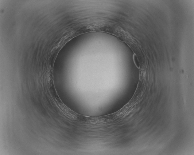 X0000072961012200608041147