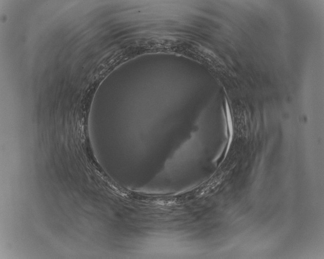 X0000072961013200608041147