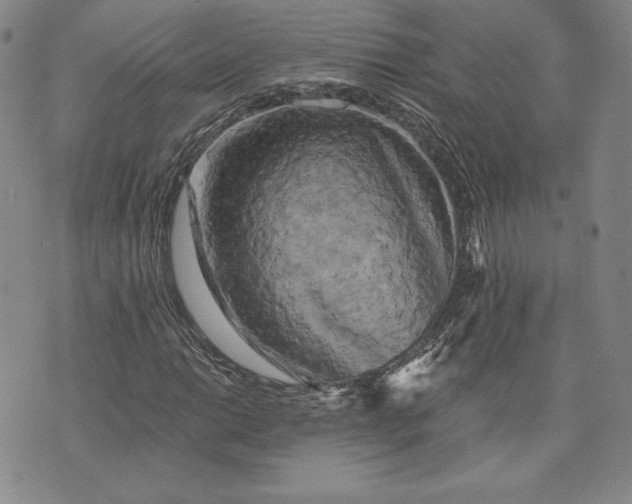 X0000072961014200608041147