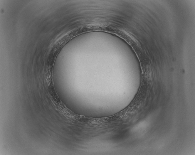 X0000072961015200608041147