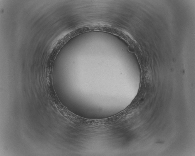 X0000072961016200608041147