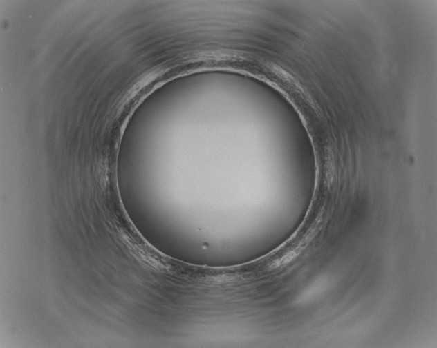 X0000072961017200608041147