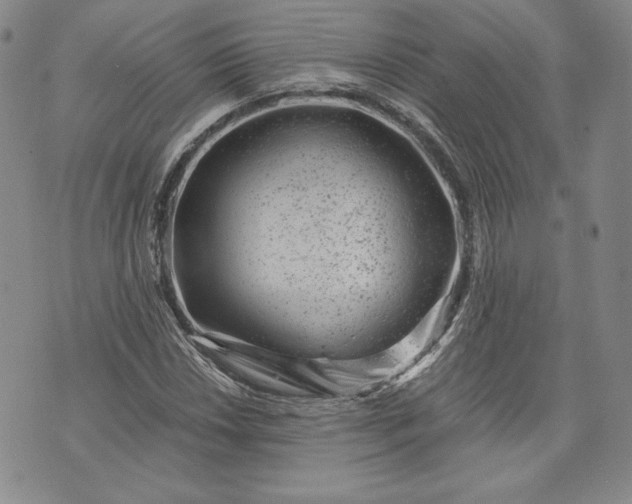 X0000072961018200608041147