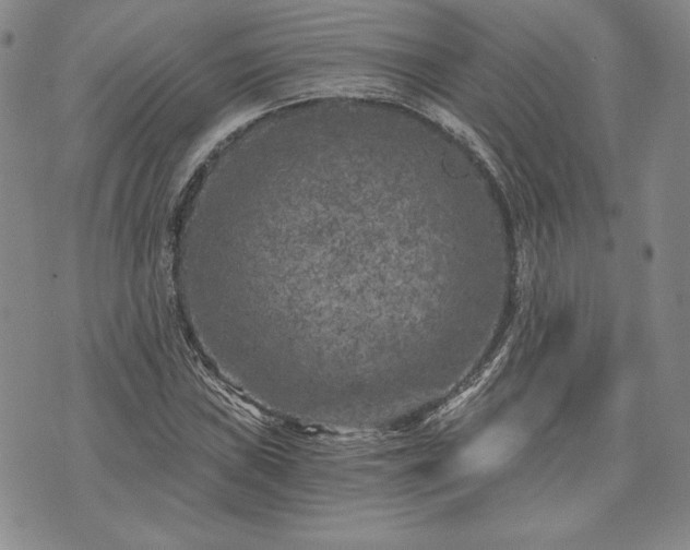 X0000072961019200608041147