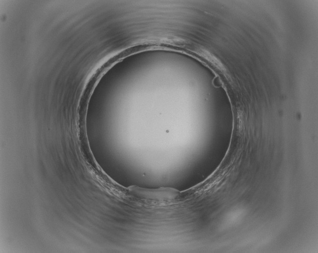 X0000072961020200608041147