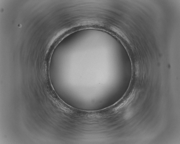 X0000072961021200608041147