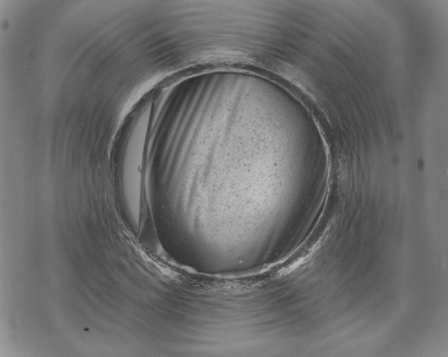 X0000072961022200608041147