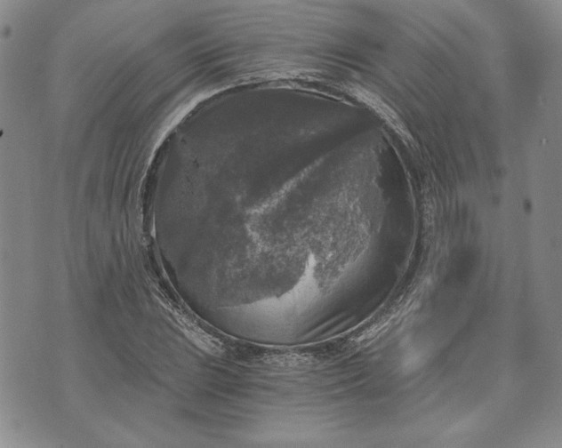 X0000072961023200608041147