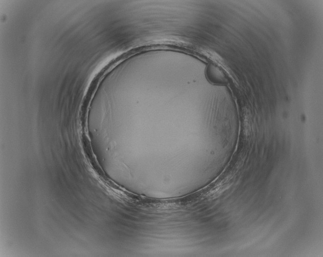 X0000072961024200608041147