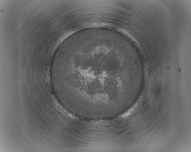 X0000072961025200608041147