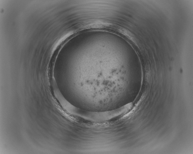 X0000072961026200608041147