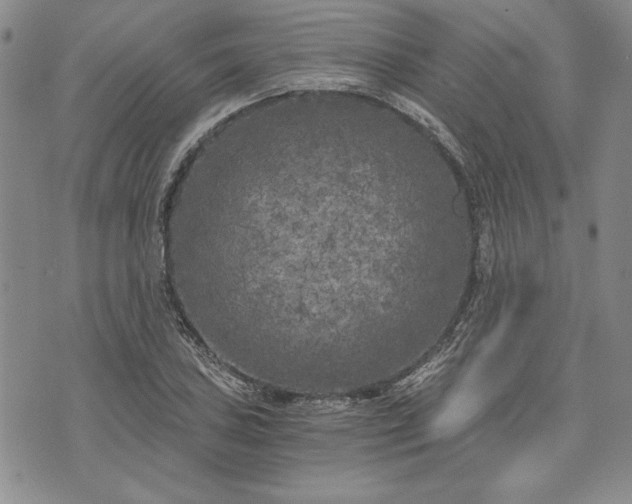 X0000072961027200608041147