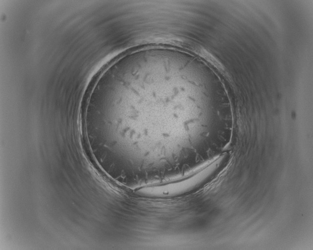 X0000072961028200608041147