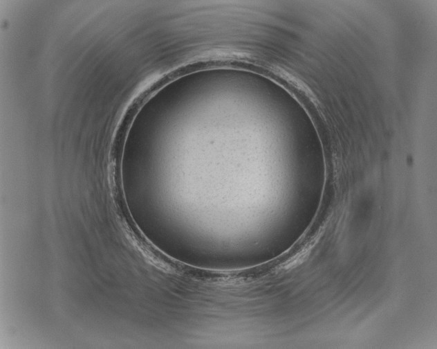 X0000072961029200608041147