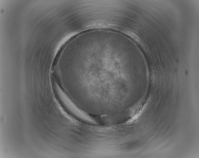 X0000072961030200608041147