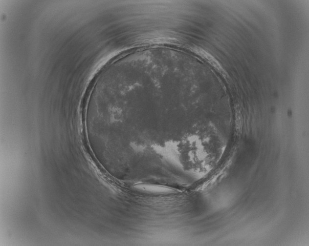 X0000072961031200608041147