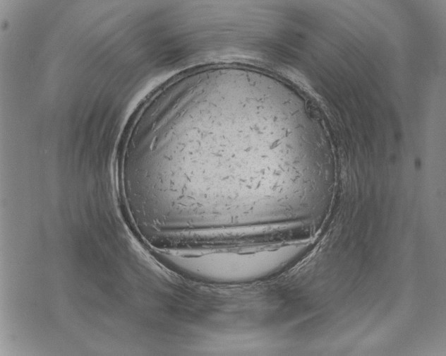 X0000072961032200608041147