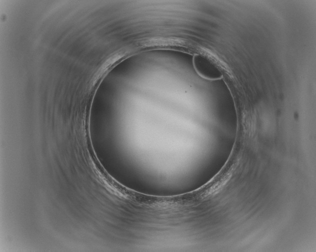 X0000072961033200608041147