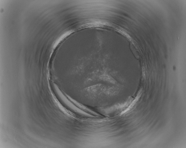 X0000072961034200608041147