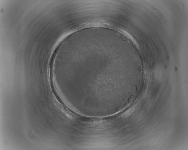 X0000072961035200608041148