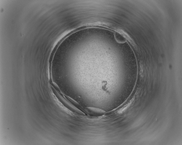 X0000072961036200608041148