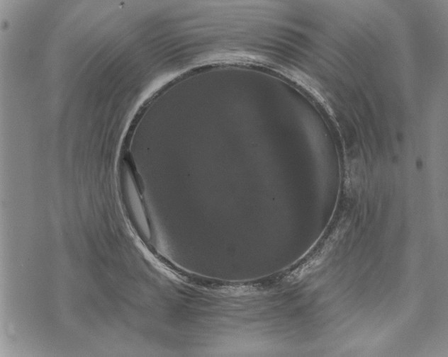 X0000072961037200608041148