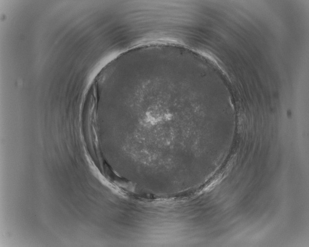 X0000072961038200608041148