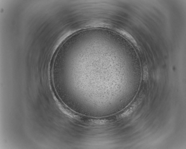 X0000072961039200608041148