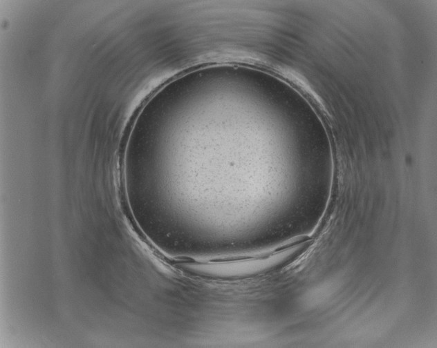 X0000072961040200608041148