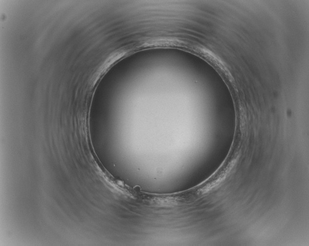 X0000072961041200608041148