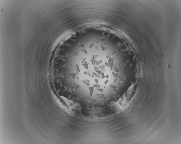 X0000072961042200608041148