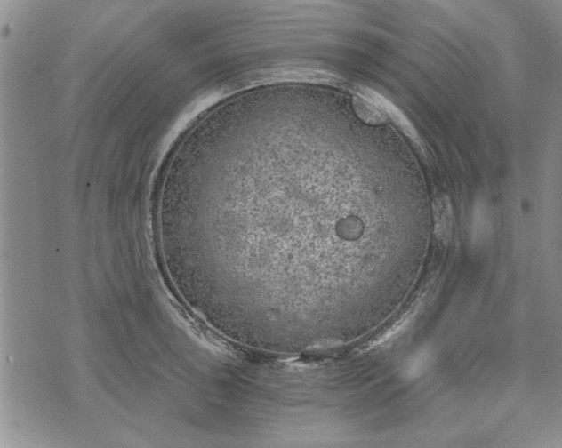 X0000072961043200608041148