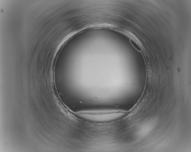 X0000072961044200608041148