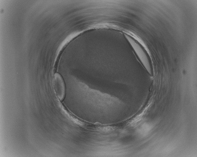 X0000072961045200608041148