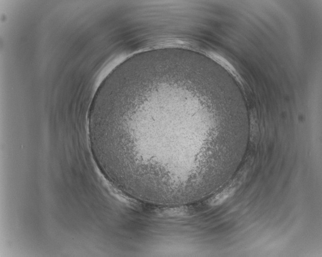 X0000072961047200608041148