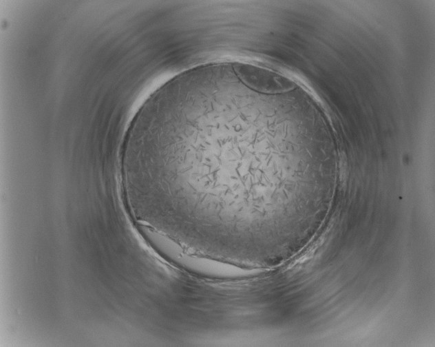 X0000072961048200608041148