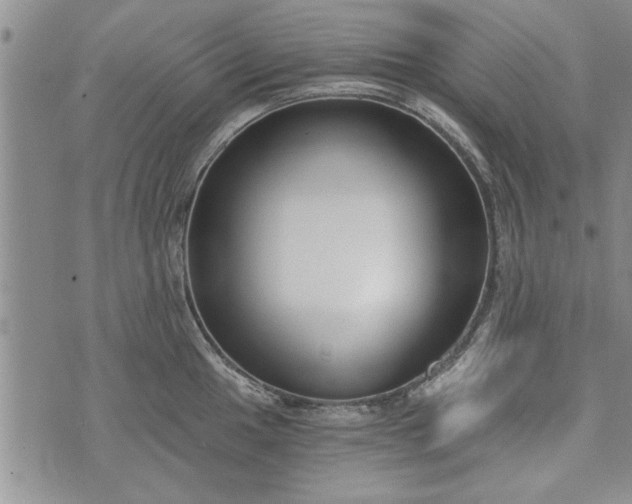 X0000072961049200608041148