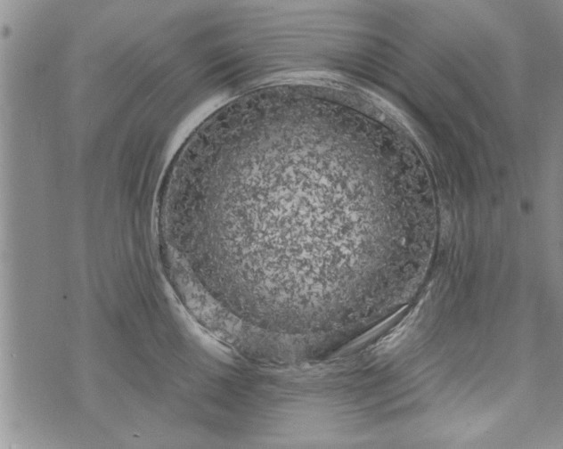 X0000072961050200608041148