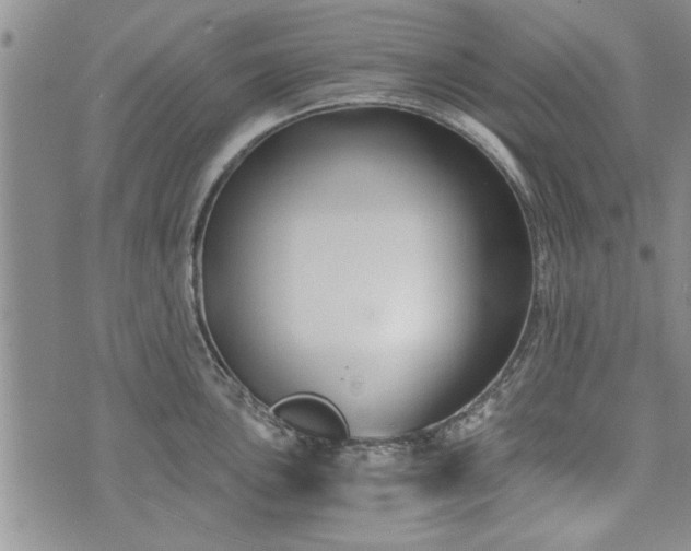 X0000072961051200608041148