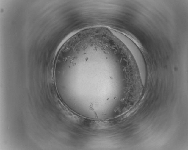 X0000072961052200608041148