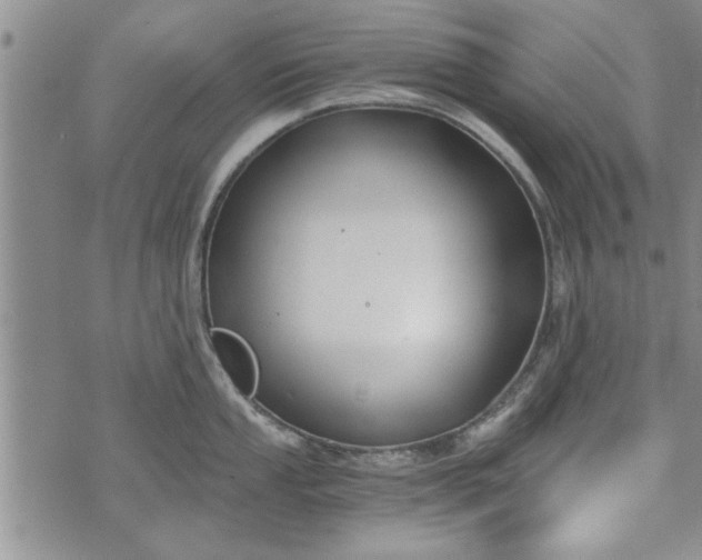 X0000072961053200608041148