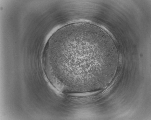 X0000072961054200608041148