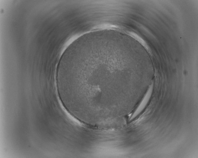 X0000072961055200608041148