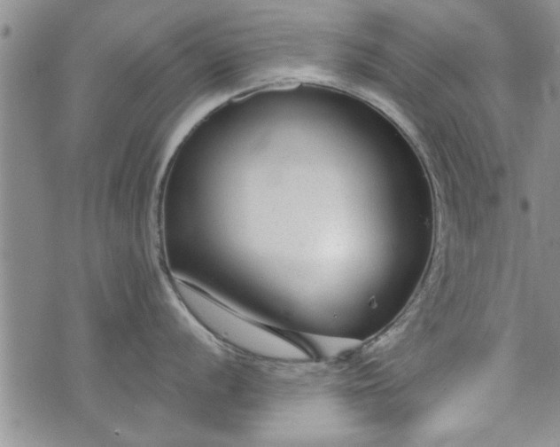 X0000072961056200608041148