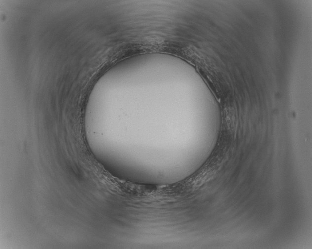 X0000072961057200608041147