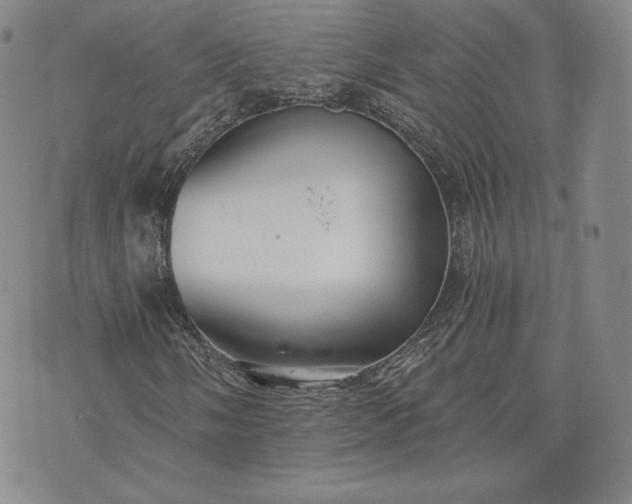 X0000072961058200608041147