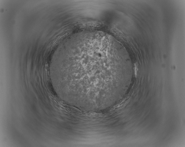 X0000072961059200608041147