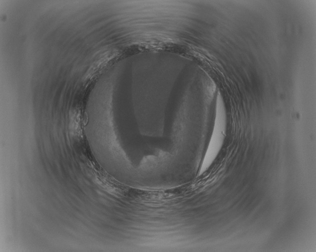 X0000072961060200608041147