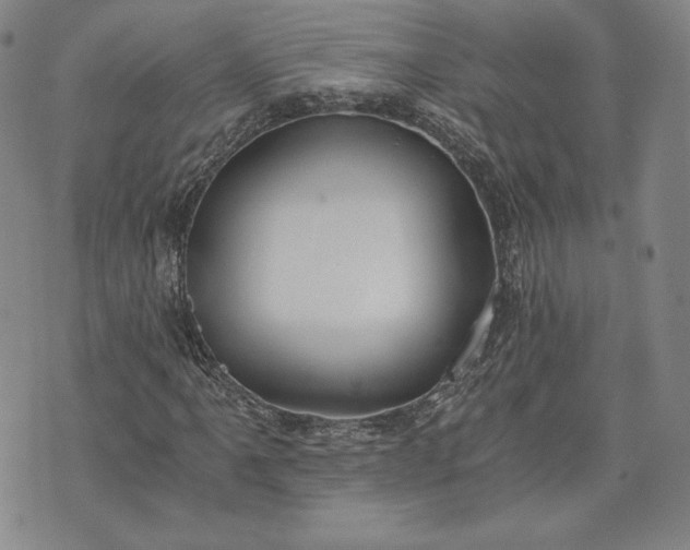 X0000072961061200608041147