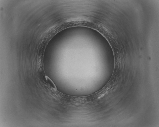 X0000072961062200608041147